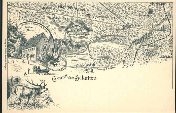 Stuttgart Königlicher Wildpark Hirsch