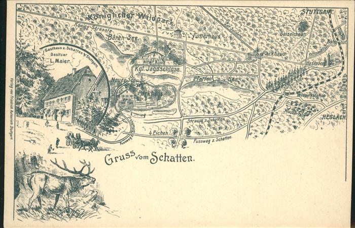 Stuttgart Königlicher Wildpark Hirsch