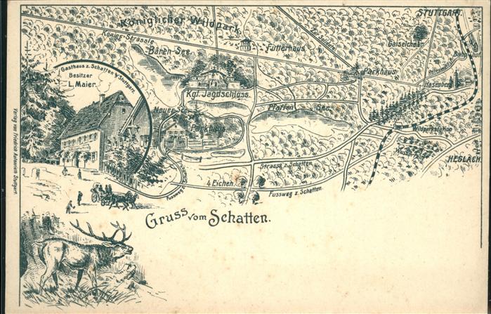 Stuttgart Königlicher Wildpark Hirsch