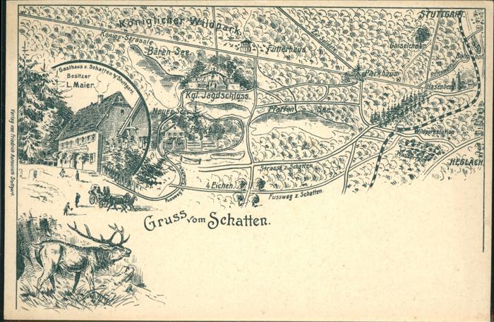 Stuttgart Königlicher Wildpark Hirsch