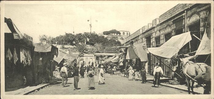 Alexandria Alexandrie Aegypten Bazar Pferd
