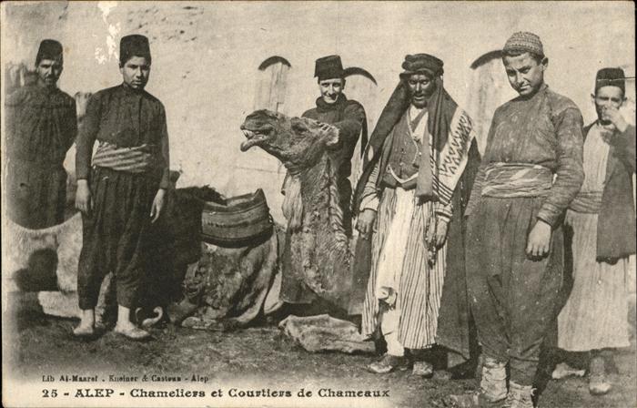Alep Chameliers Courtiers Chameaux