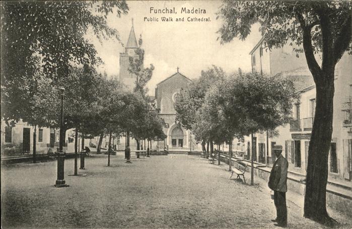 Funchal Public Walk 
Cathedral