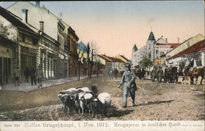 Balkan Kutsche Schafe