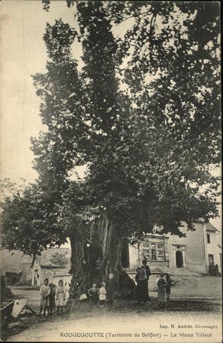 Rougegoutte Vieux Tilleul