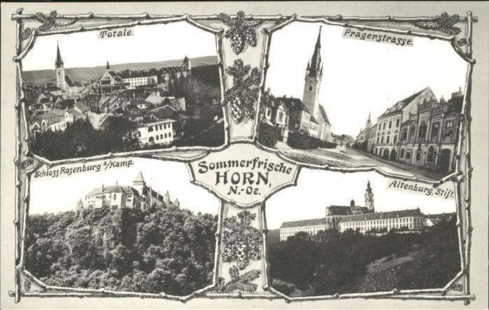 Horn Niederoesterreich Pragerstrasse Schloss Rosenburg Altenbu