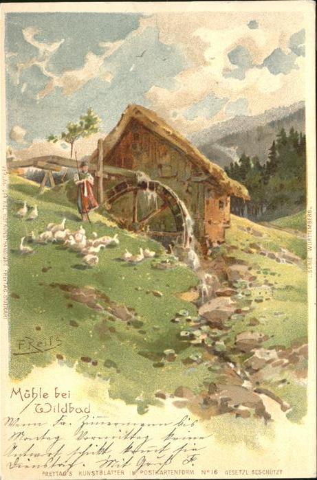 Bad Wildbad Mühle Künstler F Reifs Enten