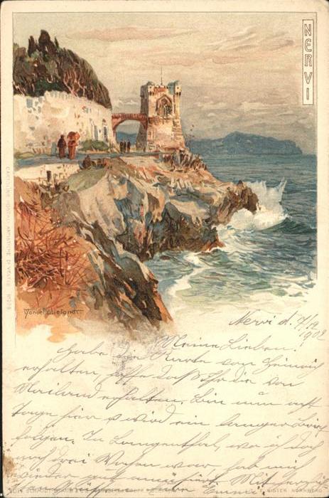 Nervi