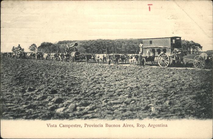 Buenos Aires Viasta Campestre