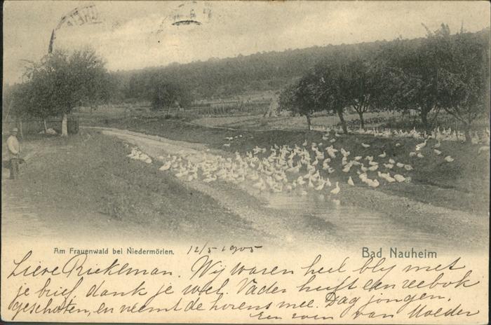 Bad Nauheim Frauenwald Niedermörlen
