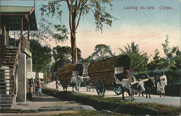 Ceylon Sri Lanka Loading tea carts