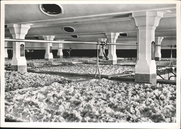 Rheinfelden Baden Brauerei Feldschlösschen