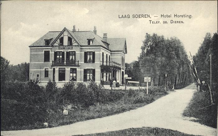 Laag Soeren Gelderland Hotel Horsting