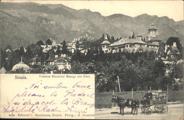 Sinaia Vedera Muntilor Bucegi din Parc