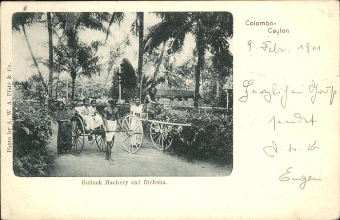 Colombo Ceylon Sri Lanka Ceylon
Bullock Hackery 
Ricksha