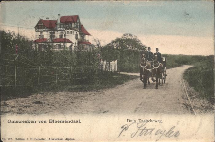 Bloemendaal Teilansicht