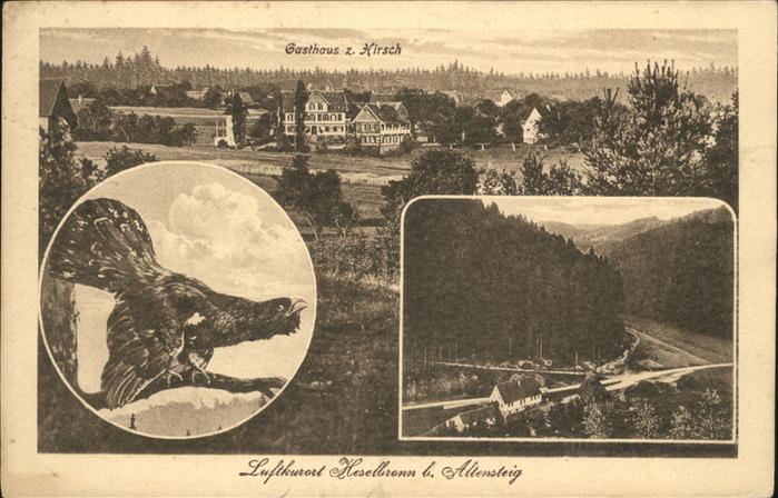 Altensteig Schwarzwald Gasthaus Hirsch