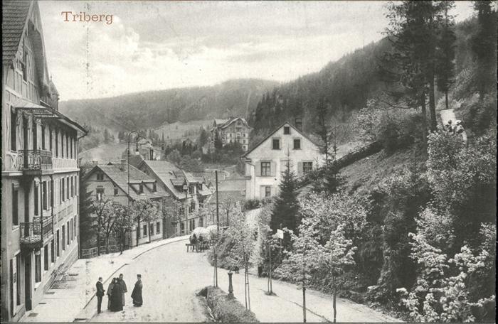 Triberg Teilansicht