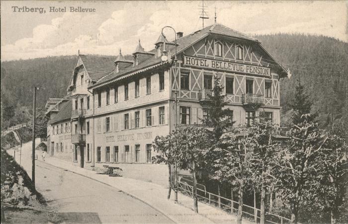 Triberg Hotel Bellevue