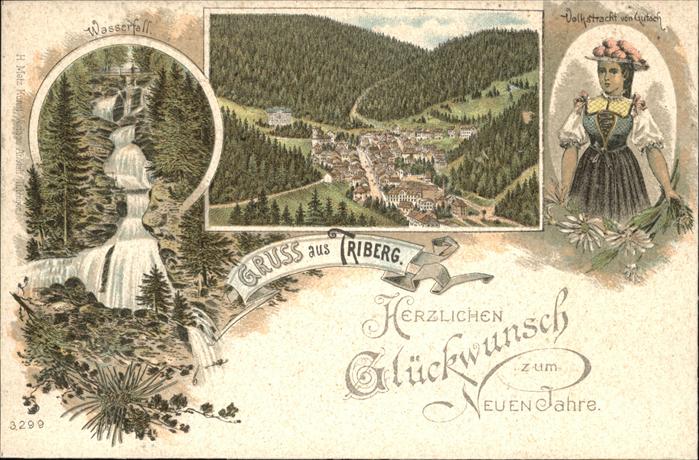 Triberg Panorama
Wasserfall
Schwarzwaldtracht
