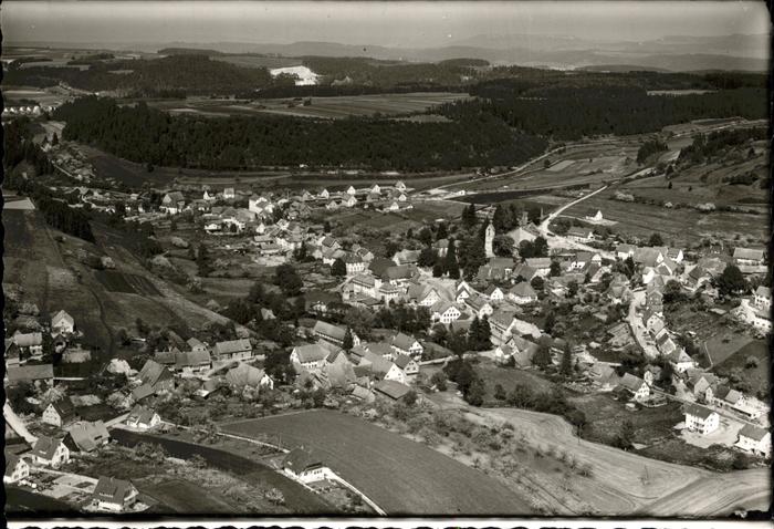 Niedereschach Flugschau