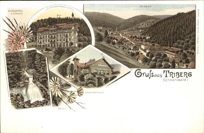 Triberg Schwarzwald Hotel
Wasserfall