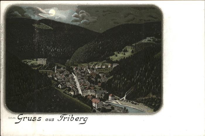 Triberg Totalansicht