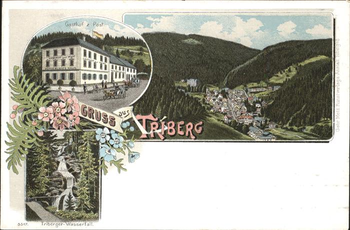 Triberg Totalansicht
