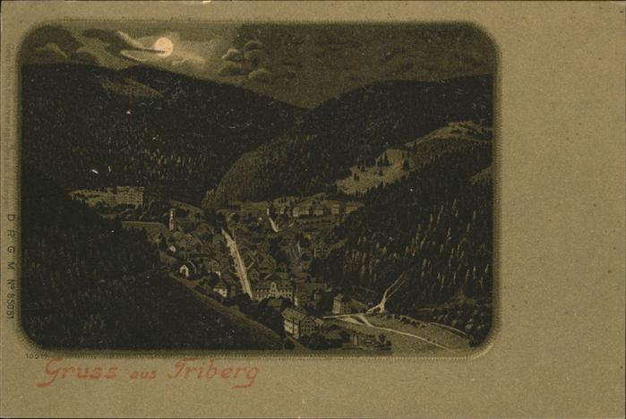 Triberg Totalansicht