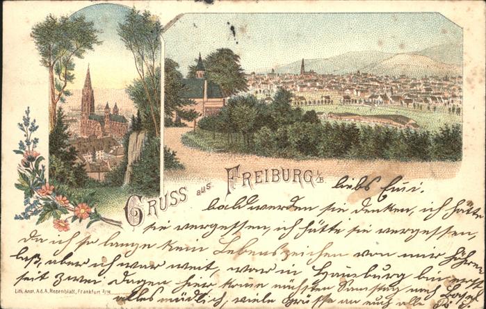 Freiburg Breisgau Totalansicht