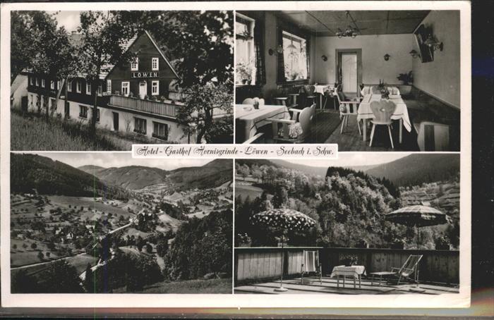 Seebach Ottenhoefen Schwarzwald Hotel Hornisgrinde