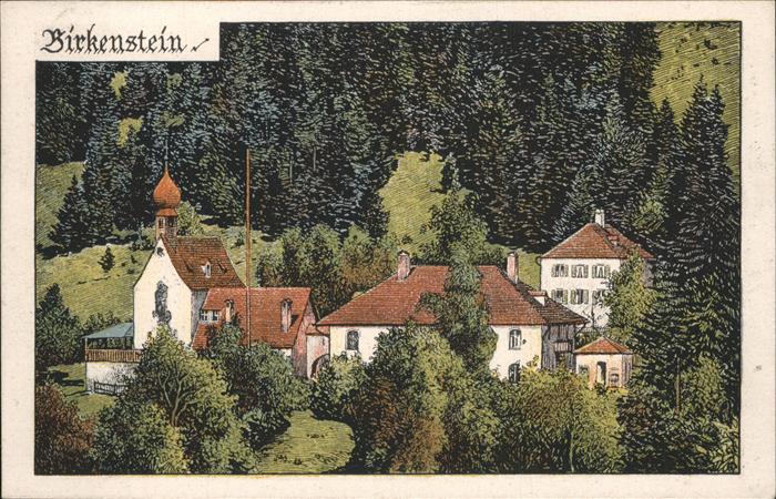 Birkenstein Totalansicht