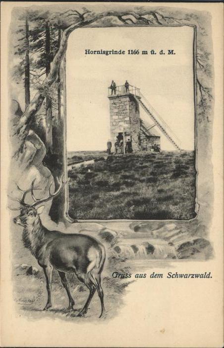 Hornisgrinde Schwarzwald