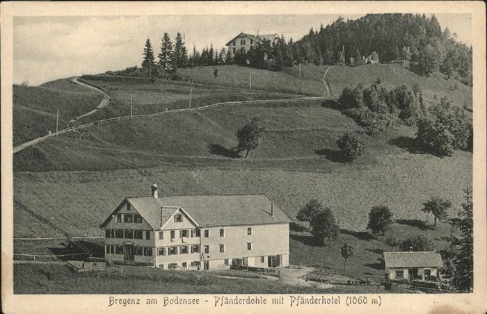 Bregenz Vorarlberg Bodensee Pfänderdohle Pfänderhotel