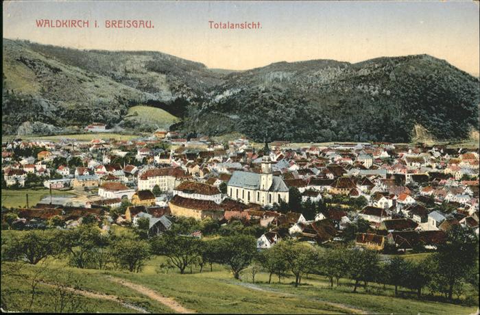 Waldkirch Breisgau Totalansicht