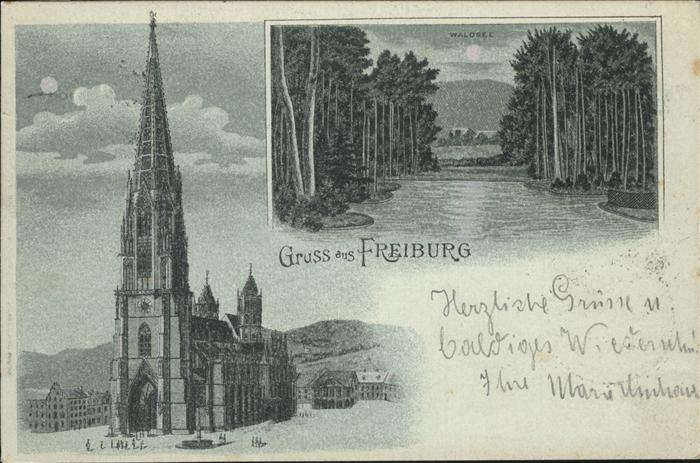 Freiburg Breisgau Waldsee Münster
