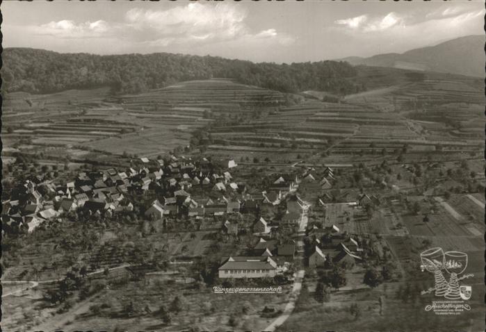 Bischoffingen Fliegeraufnahme