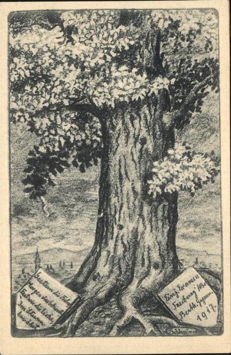 Freiburg Breisgau Baum Zeichnung Examen