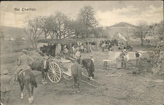 Chaillon Lager Pferde