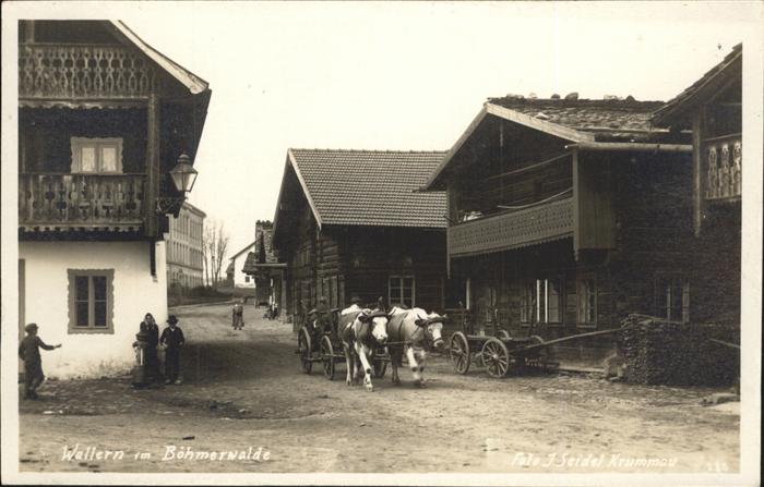 Wallern Boehmen Volary Prachatice Prachatitz CZ Dorfstrasse Ochsenkarren