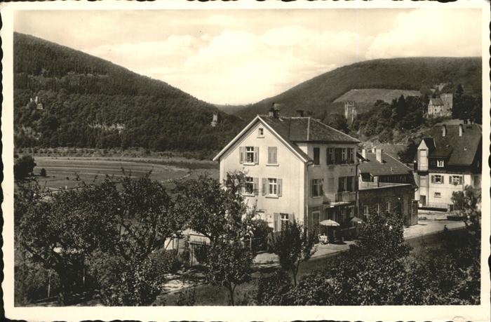 Neckarsteinach Hotel Schwalbennest