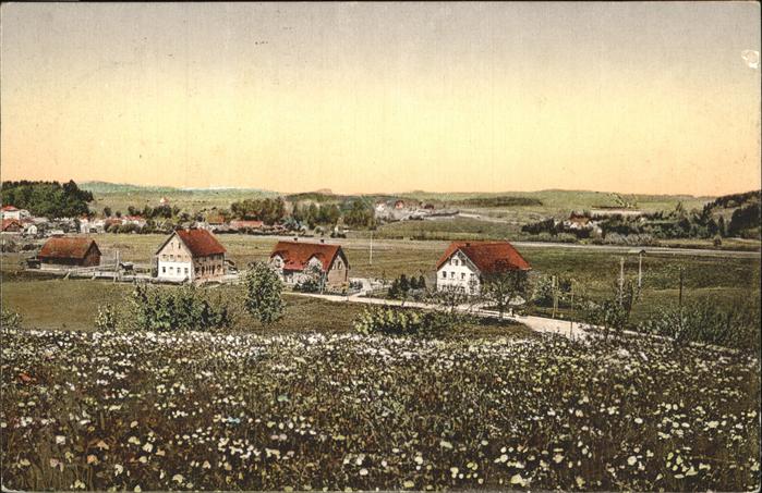 Wangen Allgaeu Teilansicht