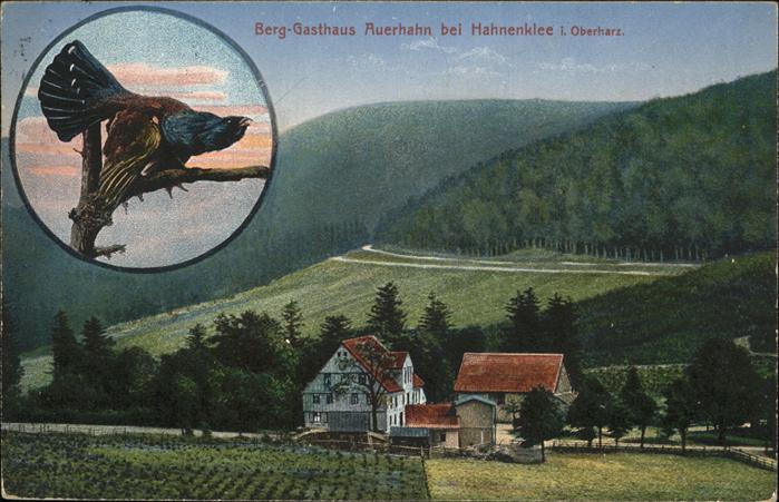 Hahnenklee-Bockswiese Harz Berg Gasthaus Auerhahn