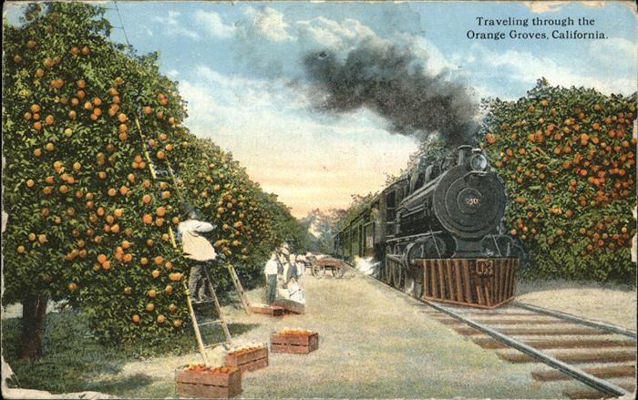 Orange Groves California Eisenbahn