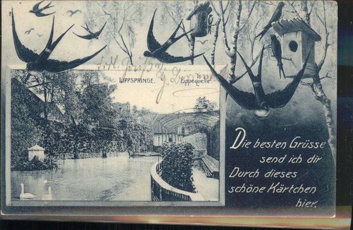 Bad Lippspringe Lippequelle Vogelhaus, Schwalben, Nest