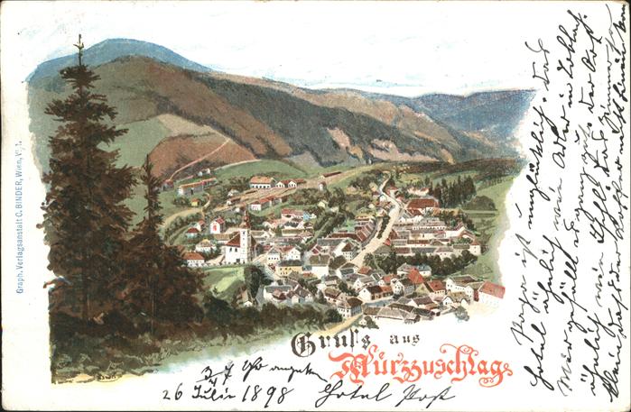 Muerzzuschlag Panorama
