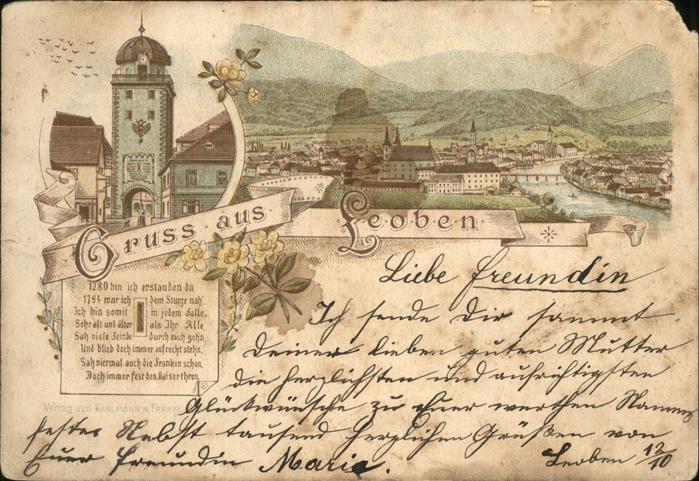 Leoben Panorama und Mautturm