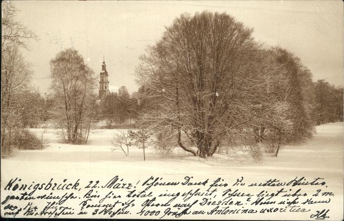 Koenigsbrueck Im Schnee