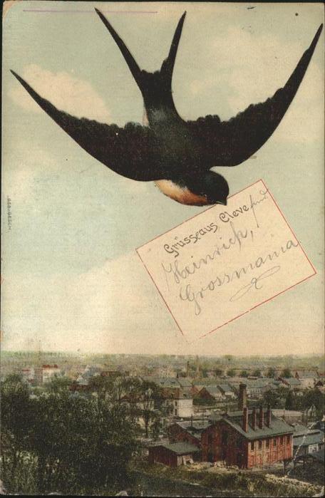 Cleve Kleve Teilansicht Schwalbe