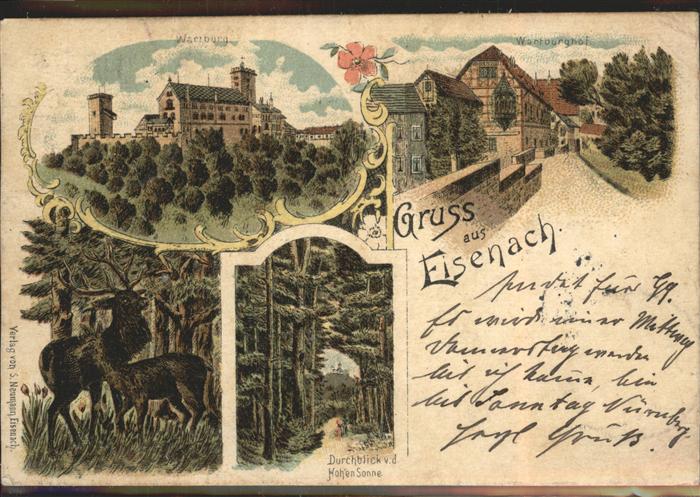 Eisenach Thueringen Wartburg Hof Hohe Sonne Hirsch Kuenstlerkarte